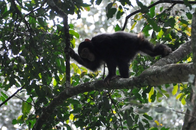 chirurgen_fuer_afrika_ruanda_2014_29