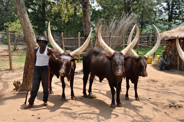 chirurgen_fuer_afrika_ruanda_2014_8